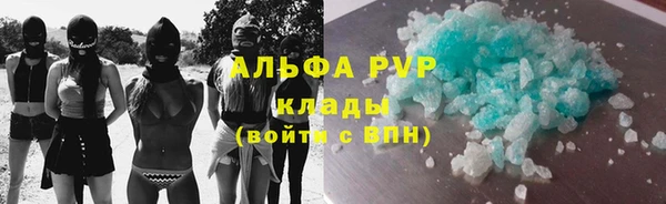 шишки Белокуриха