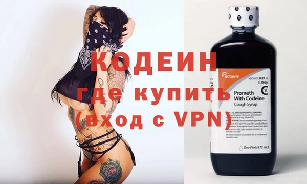 шишки Белокуриха
