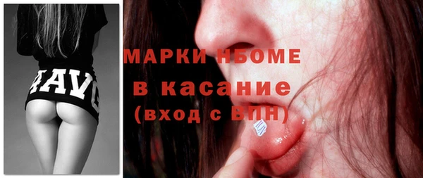 шишки Белокуриха