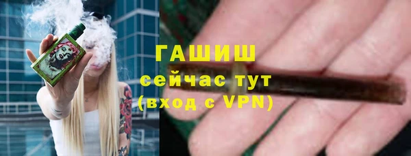 шишки Белокуриха