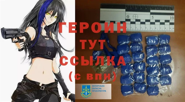 шишки Белокуриха