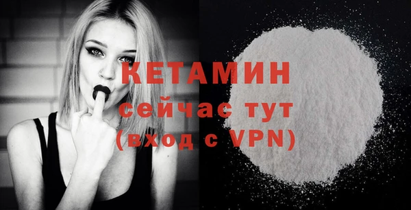 шишки Белокуриха